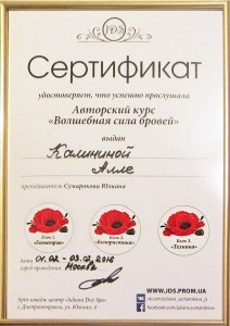Сертификат JDS - Брови - фото